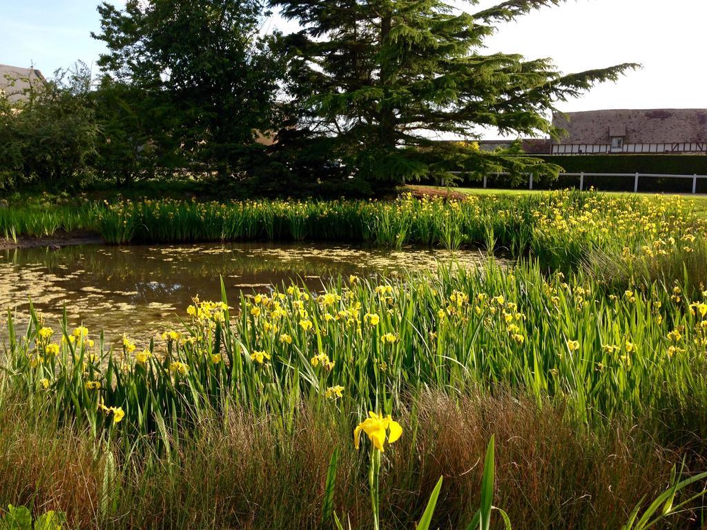 Residences Le Clos Du Manoir - Self Cooking Gauciel Exteriér fotografie