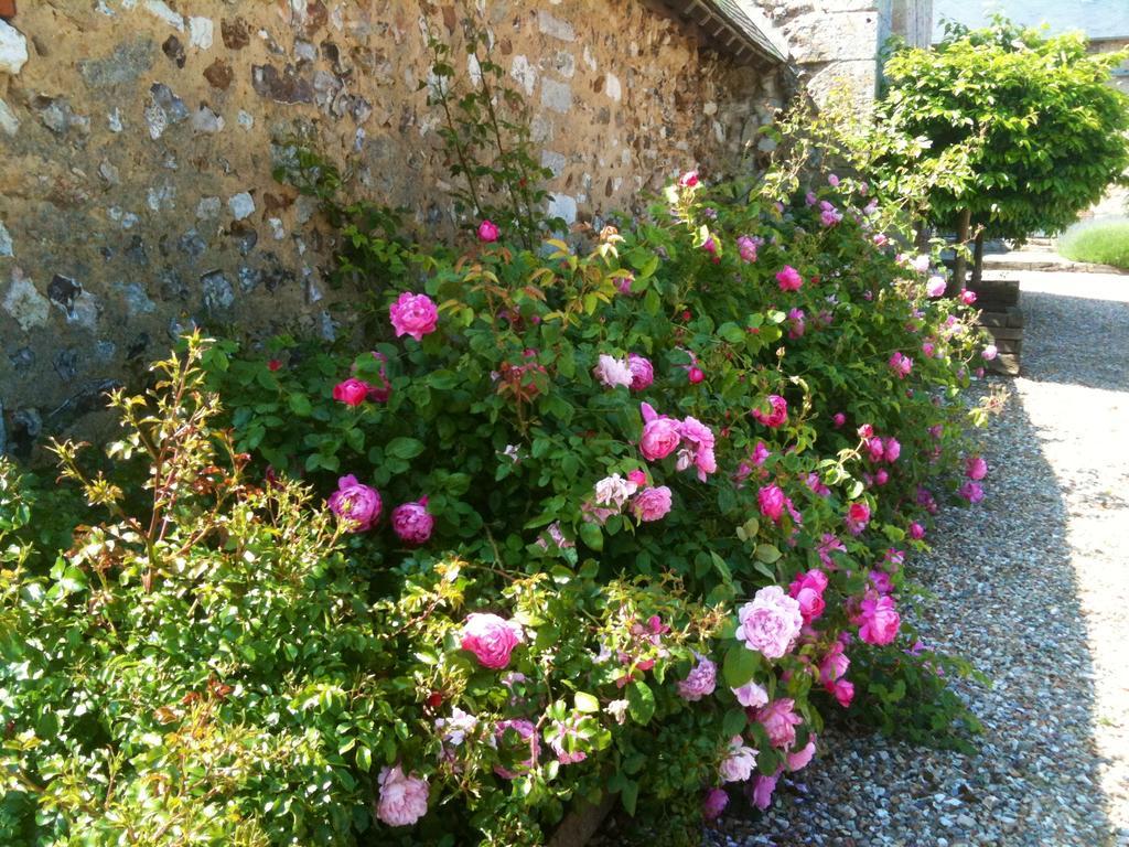 Residences Le Clos Du Manoir - Self Cooking Gauciel Exteriér fotografie